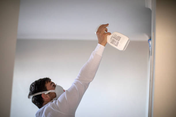 Best HVAC Mold Remediation in Sandy Springs, GA