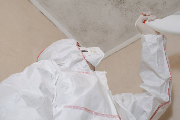 Professional Mold Remediation in Sandy Springs, GA